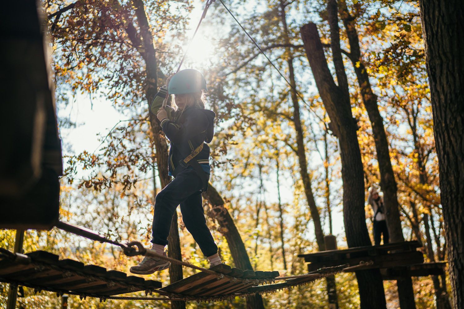 accrobranche automne classes vertes